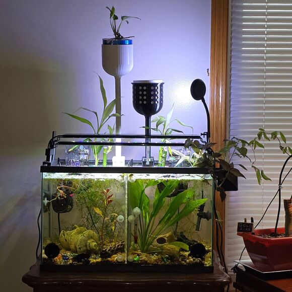 Aquaponic Aquarium Wicking Planter Pot White Blue Self Watering Fish Tank Decor - Picture 2 of 15